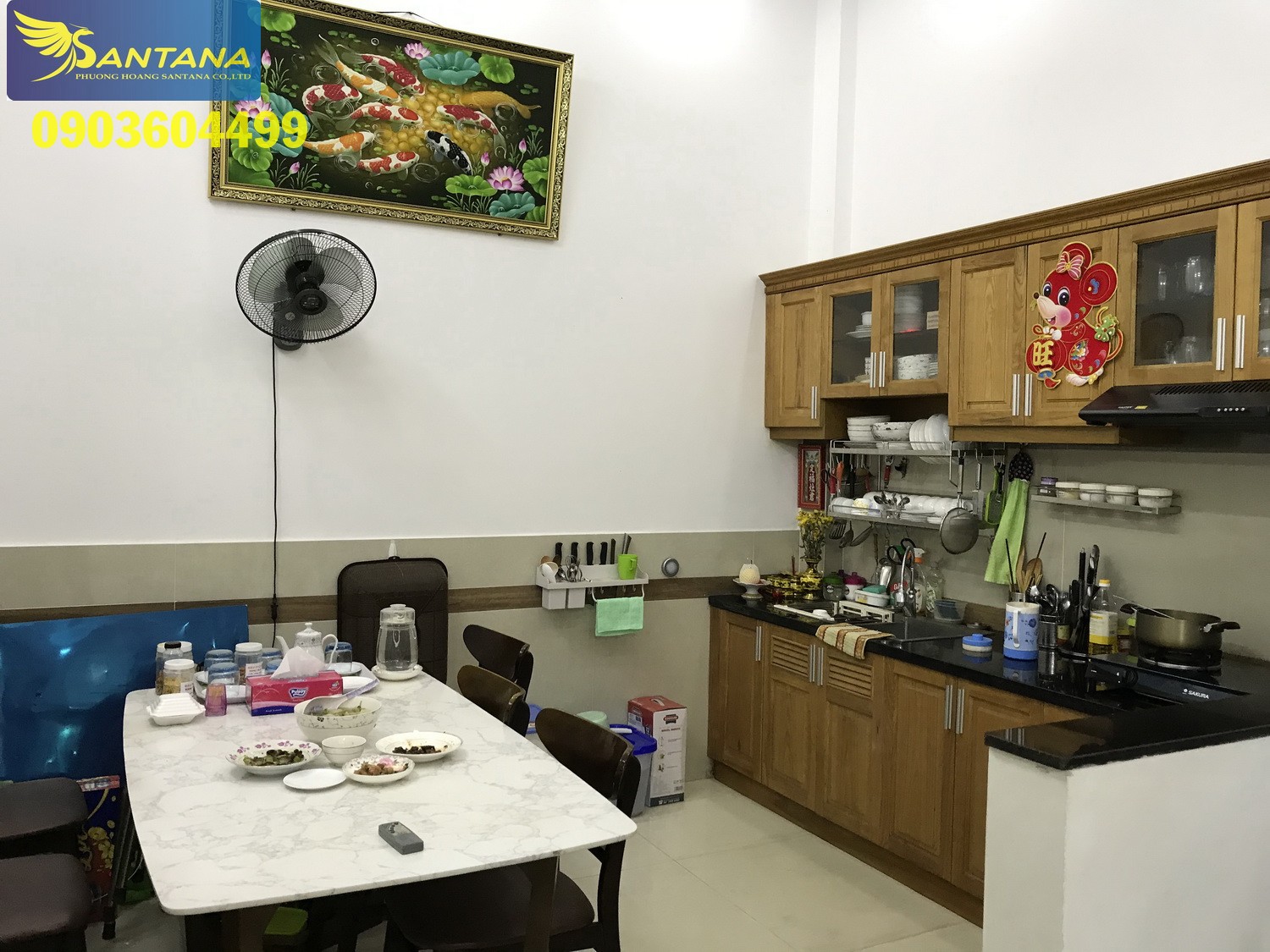 SIÊU PHẨM Nhà phố t.kế C.Âu (4x14) hẻm ôtô Phan Đăng Lưu - P.Xích Long